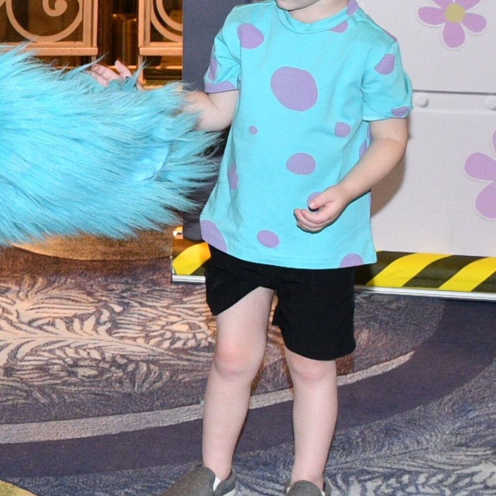 EUC: Sz 2 PIXAR Monsters Inc Sully inspired tee by Taylor Joelle